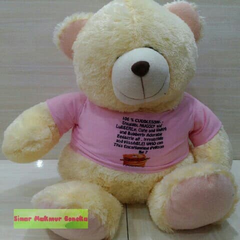 Boneka teddy bear forever friends