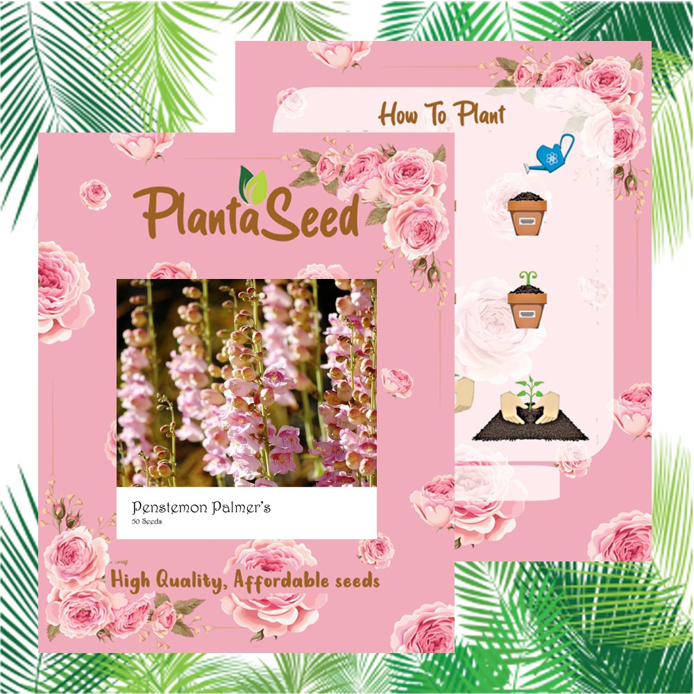 PlantaSeed - 50 Seeds - Penstemon Palmers Biji Bunga - PAS0207