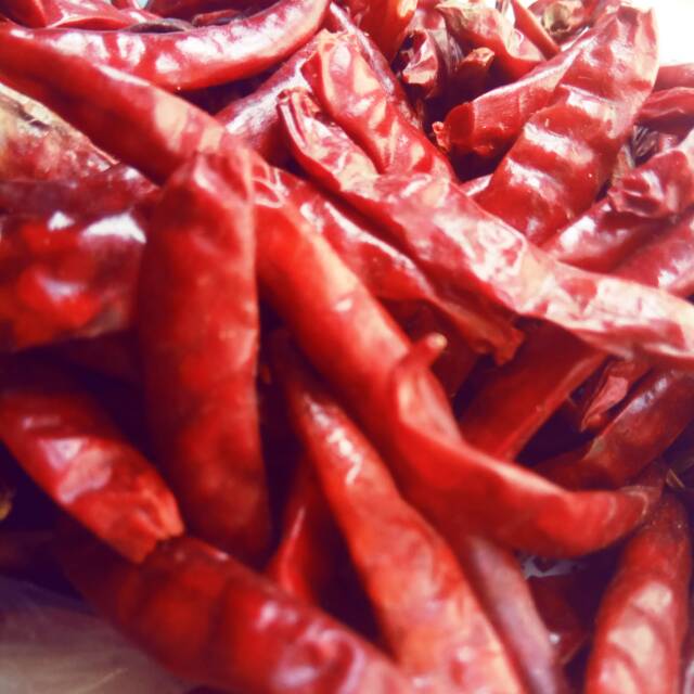 

Cengek kering hot/100gram Rp15.000 /kiloan/karung