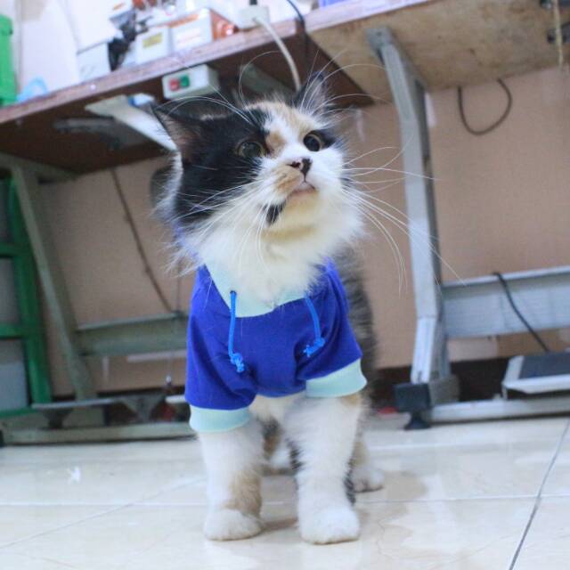 Kaos hoodie full biru list biru laut untuk kucing dan anjing size S M L XL