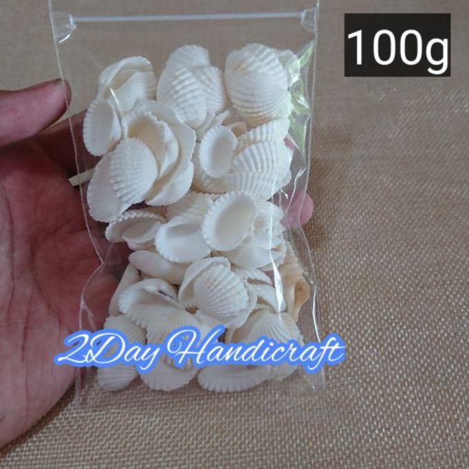 

PROMO 11.11 (lnf-597) Cangkang Kerang Putih kemasan 100gram - Kulit Kerang Darah