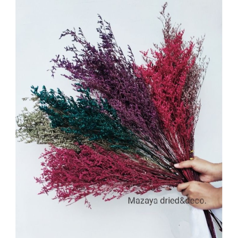 Dried Flower Caspea/Lovergrass Natural Asli Bunga Kering Hisan Bunga Kering Asli murah Dry Import