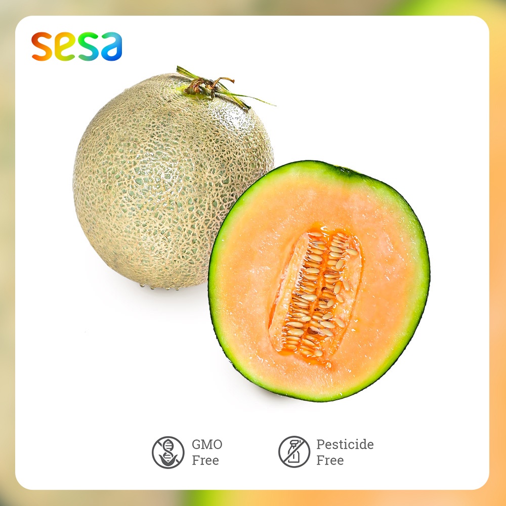 

Buah Melon Rock /pcs