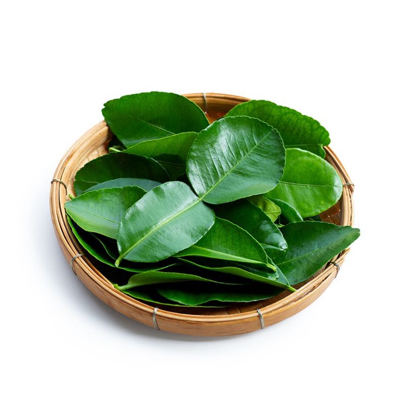 

Daun Jeruk