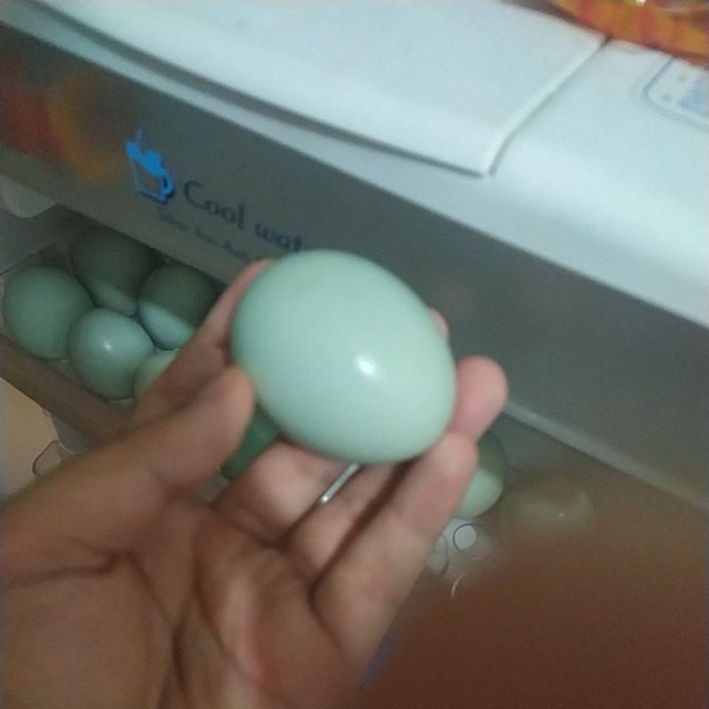 

Telur Asin
