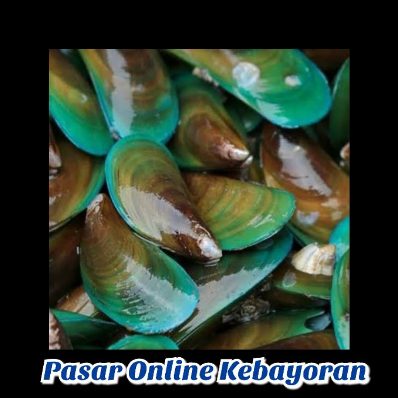 

Kerang Hijau Segar - 1 Kg ( JABODETABEK )