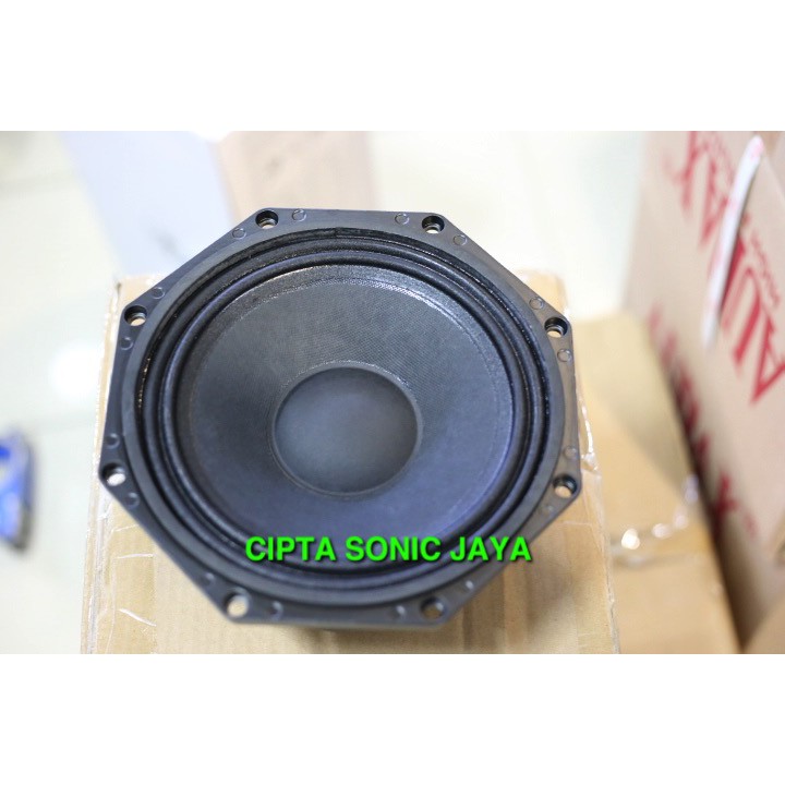 speaker 8&quot; model BnC segi 8