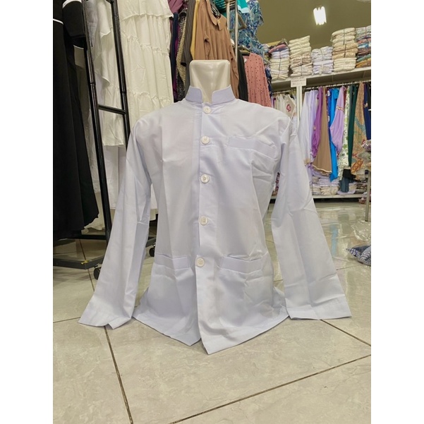 JASKO DALWA PUTIH | JAS KOKO DALWA PUTIH