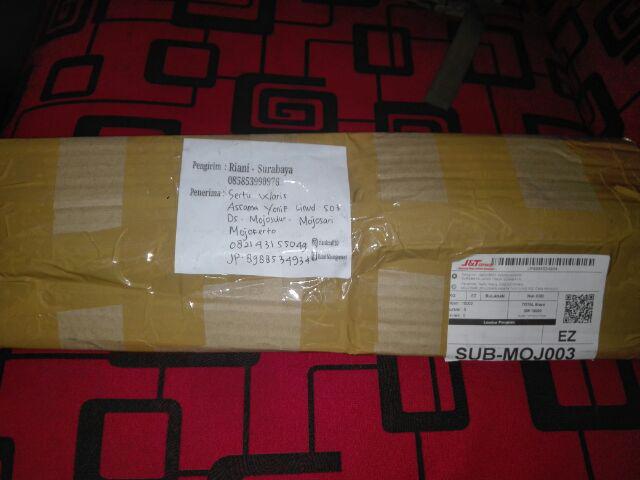 [bayar Di Tempat] Aplikasi Daun Tanpa Tangkai / Bahan Mahar Ringbox / Daun Beludru