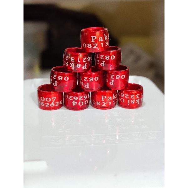 RING MERPATI RODA PENDEK