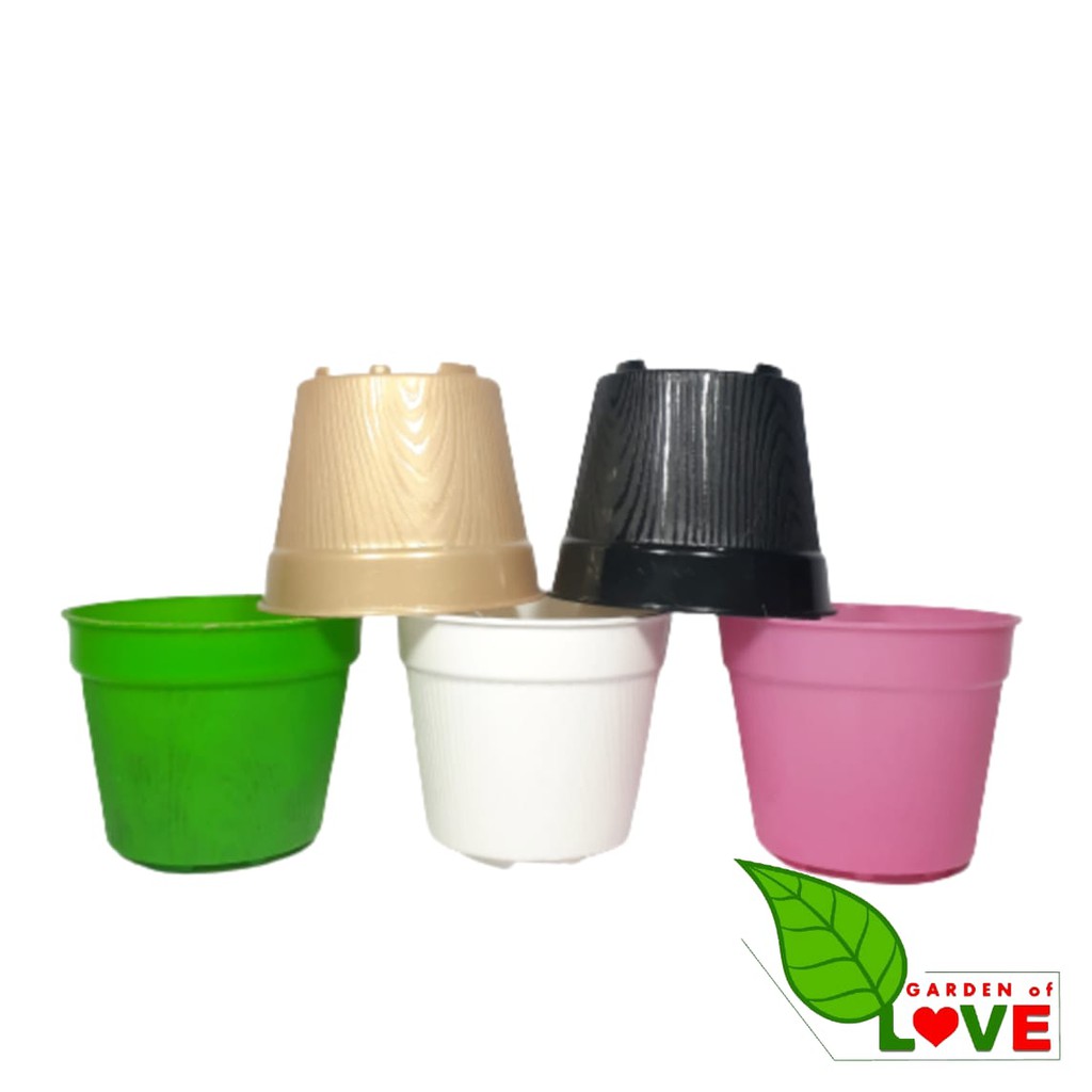 Pot Es Krim 10cm Tanpa Lubang Pot Bunga 10 Cm Putih Hijau Kuning Pink Ungu Bkn Pot tawon 10 Cm