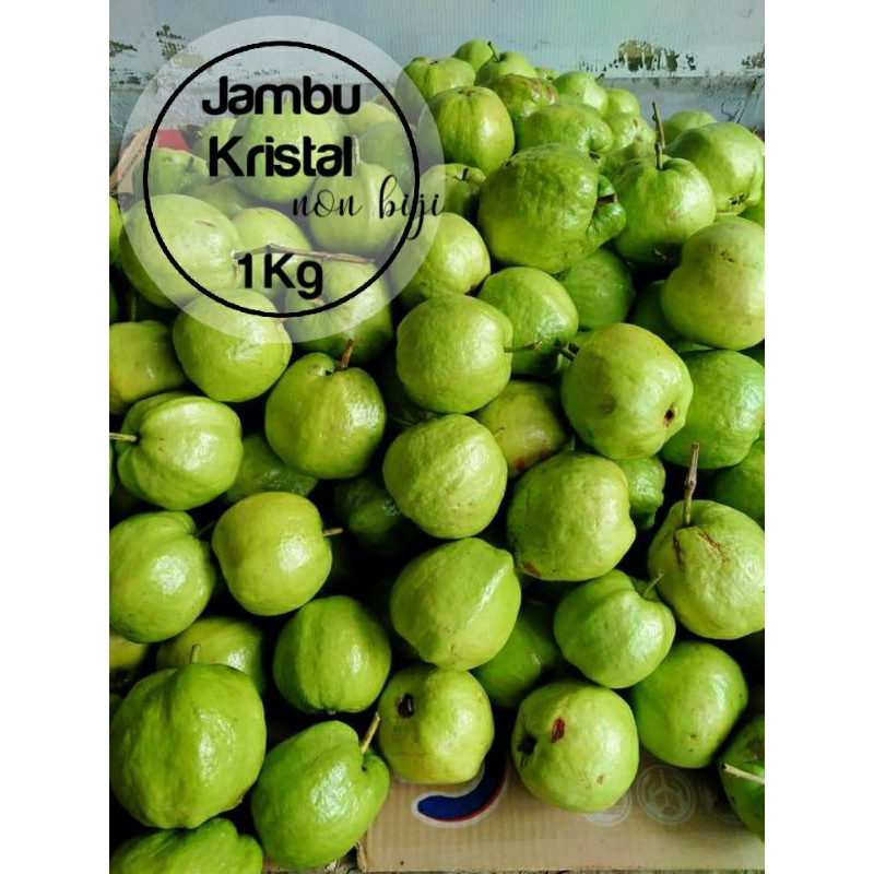 

Jambu Kristal Non biji (1Kg)