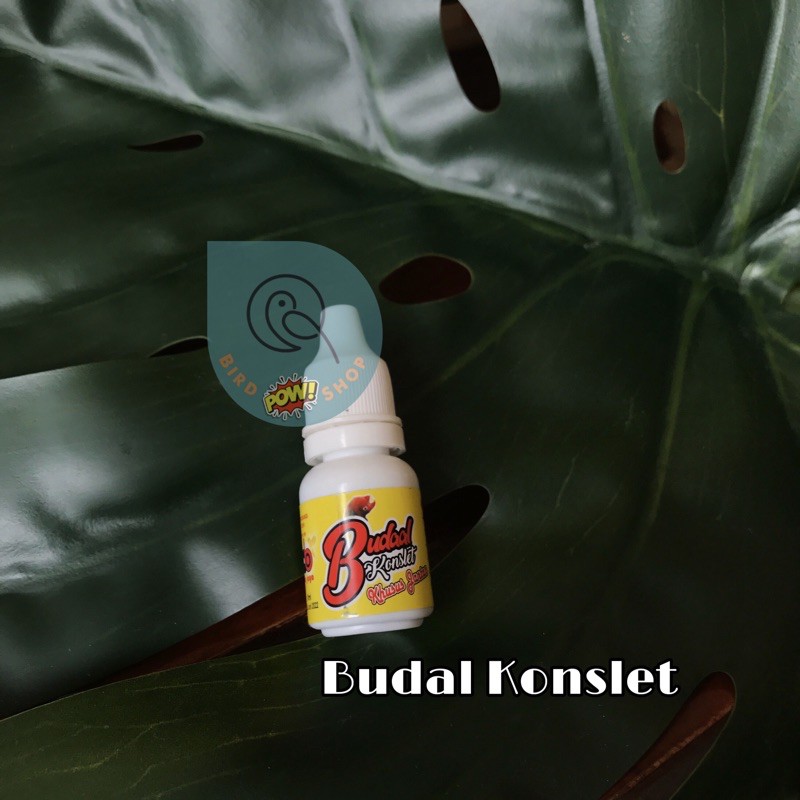 VITAMIN BURUNG BUDAL KONSLET KHUSUS JANTAN & PAUD CETAK LB KE ARAH AUTIS KONSLET GACOR serbuk setan