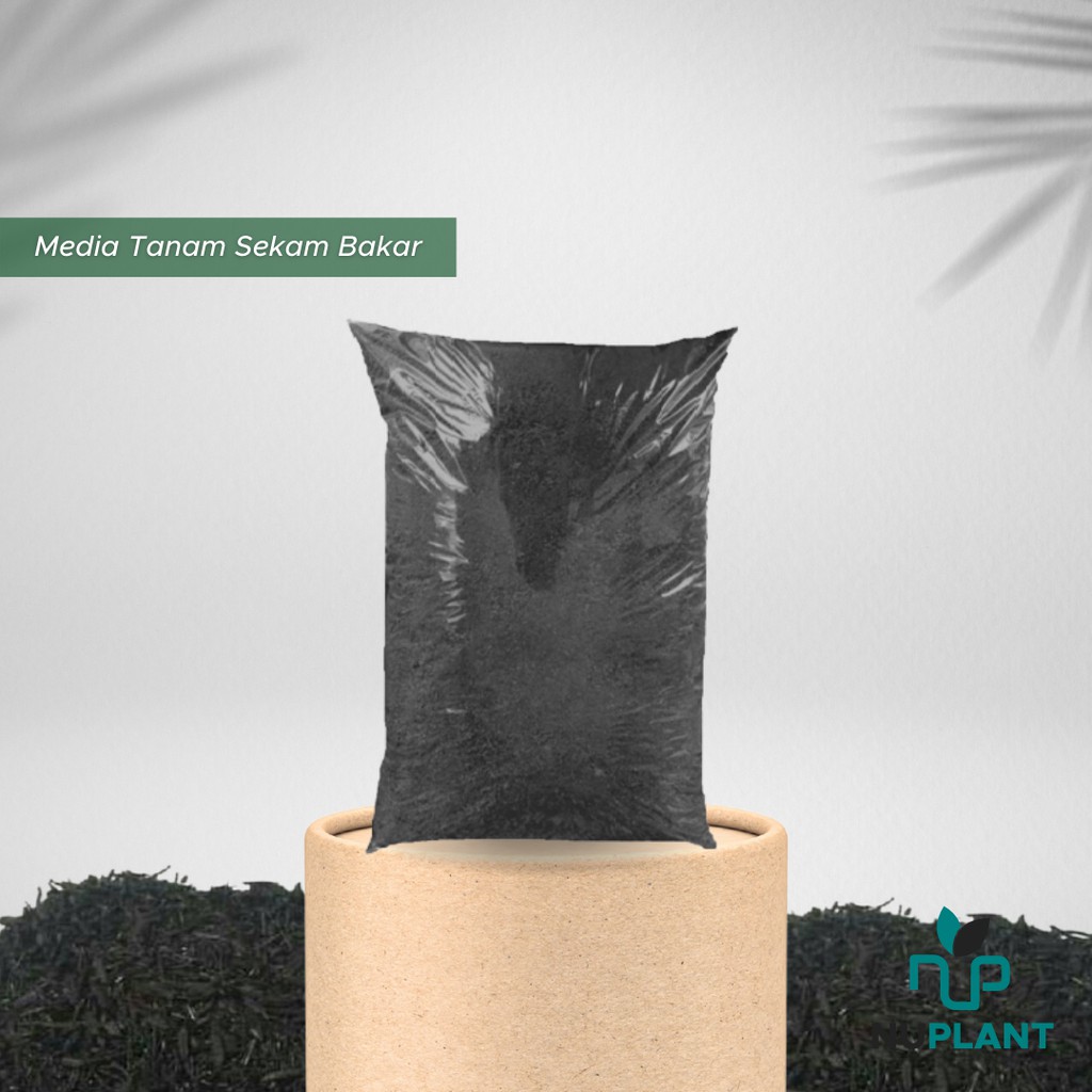 Nuplant Sekam Bakar Arang Sekam Media Tanam Organik Hidroponik 1 kg
