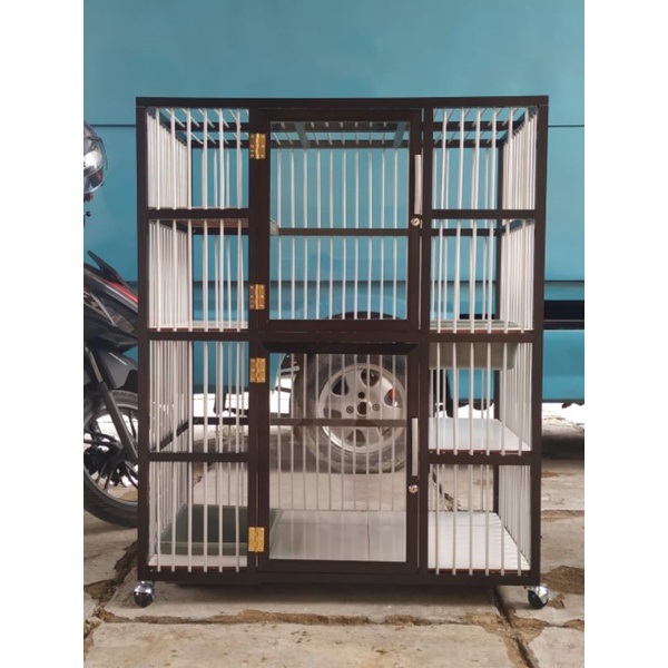 kandang kucing tingkat besi alumunium bisa custom cat room