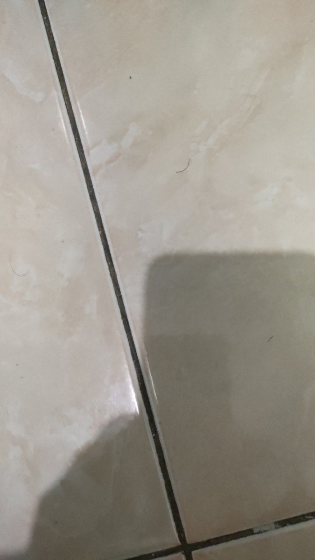 Batu Koral Kupang 1 Kg