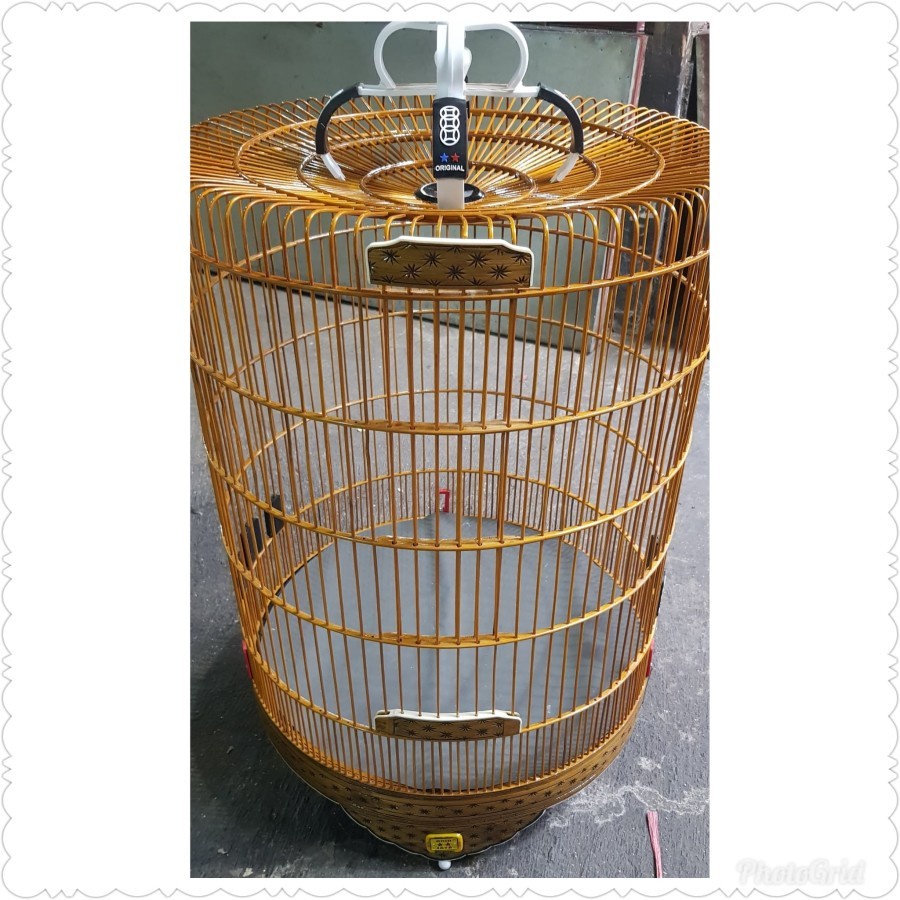 sangkar burung murai oriq