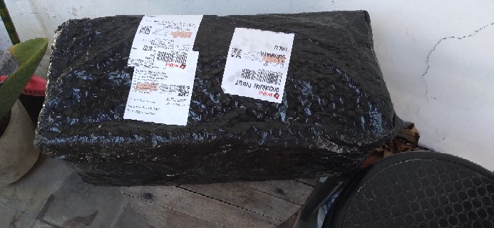 Pressure Sprayer Maspion 5 Liter Dan Yoto