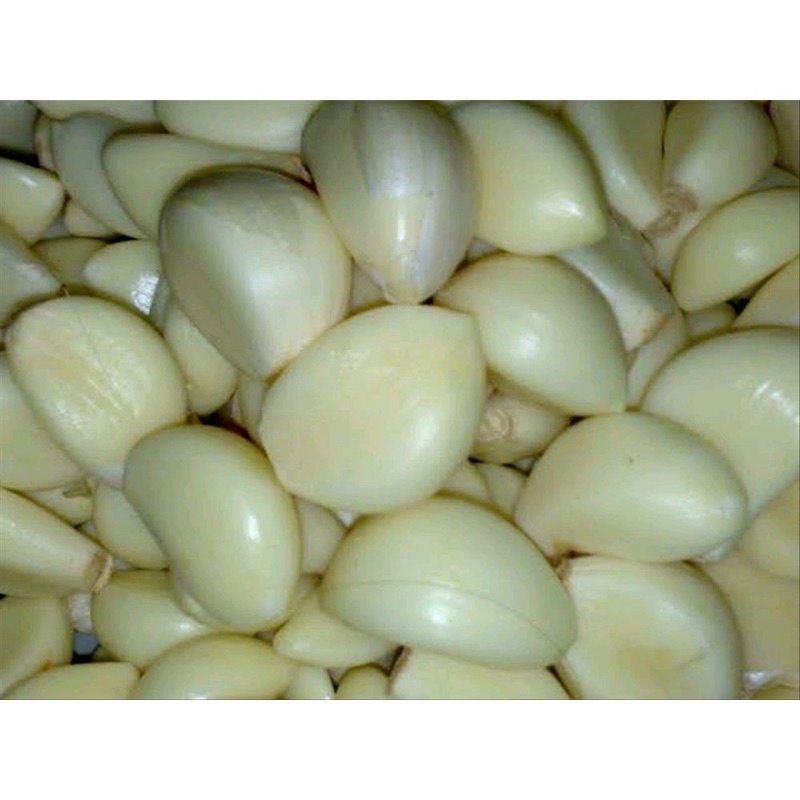 Bawang putih kupas Fresh Sayur Surabaya