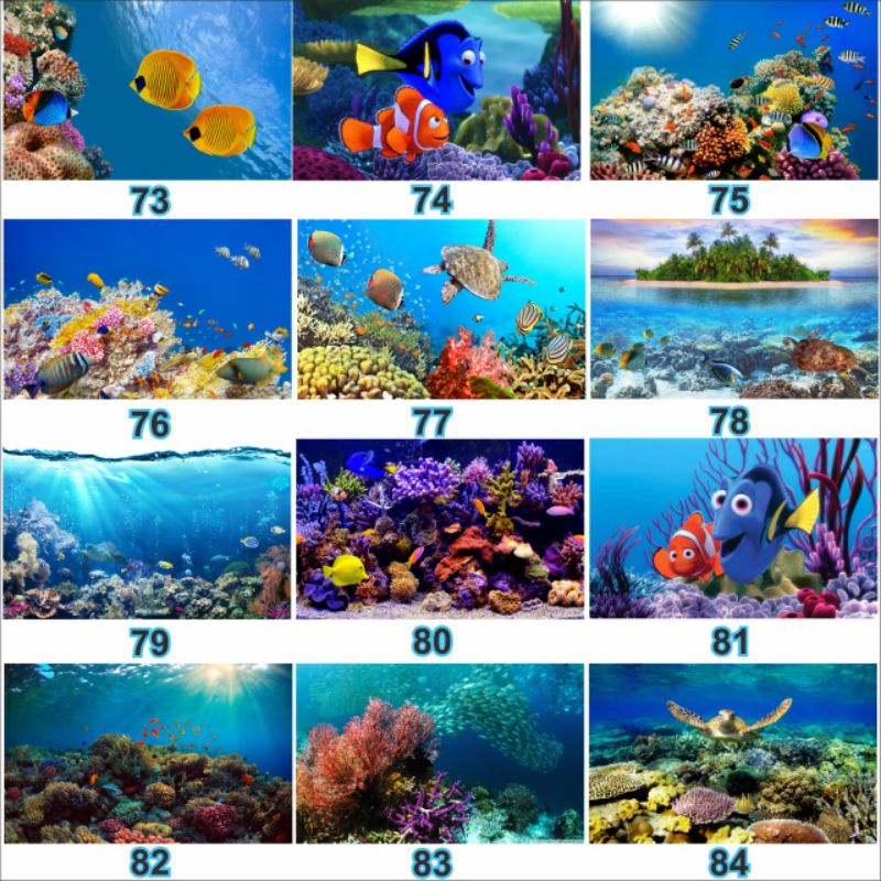 [BISA CUSTOM ] [harga per 1 cm] Stiker background aquarium , skotlet aquarium , stiker channa , stiker aquarium , background aquarium begrond aquarium stiker chana stiker cana stiker koki