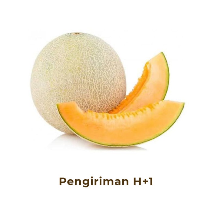 Melon Orange / Rock Melon