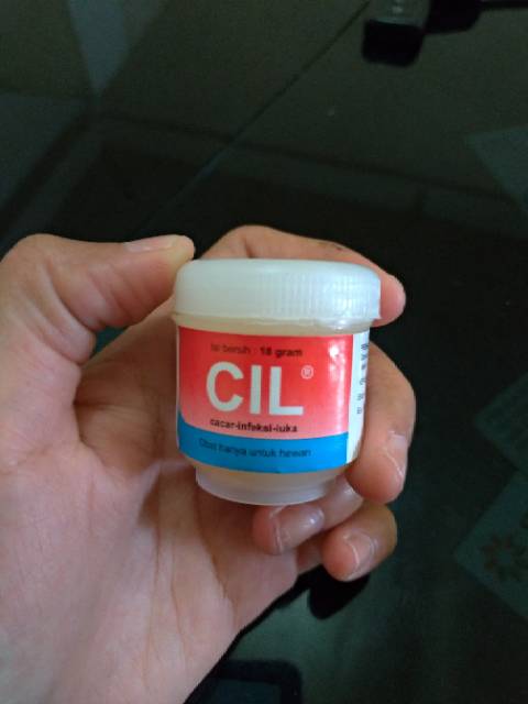 CIL OBAT CACAR DAN INFEKSI LUKA