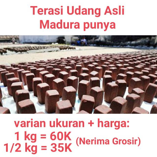 

Terasi Udang Asli Madura Sumenep