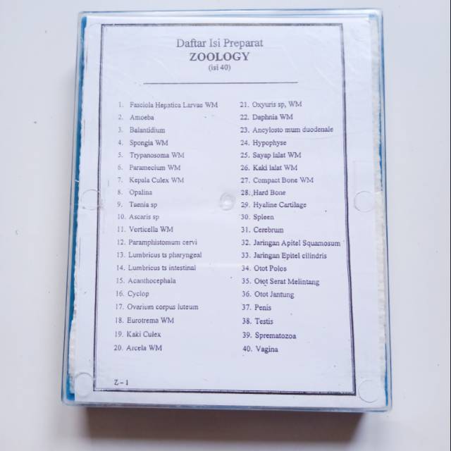 Preparat Sel Hewan Kering Awetan Zoologi Mikroskop