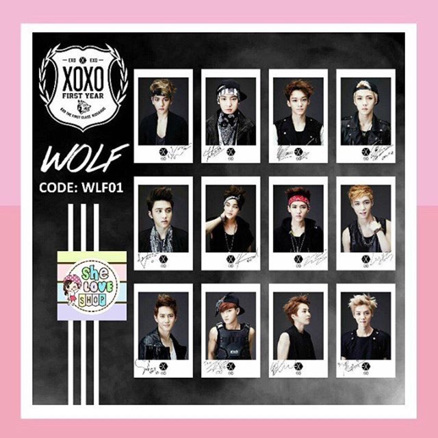 POLAROID EXO WOLF