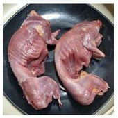 

Karkas Marmut Jantan