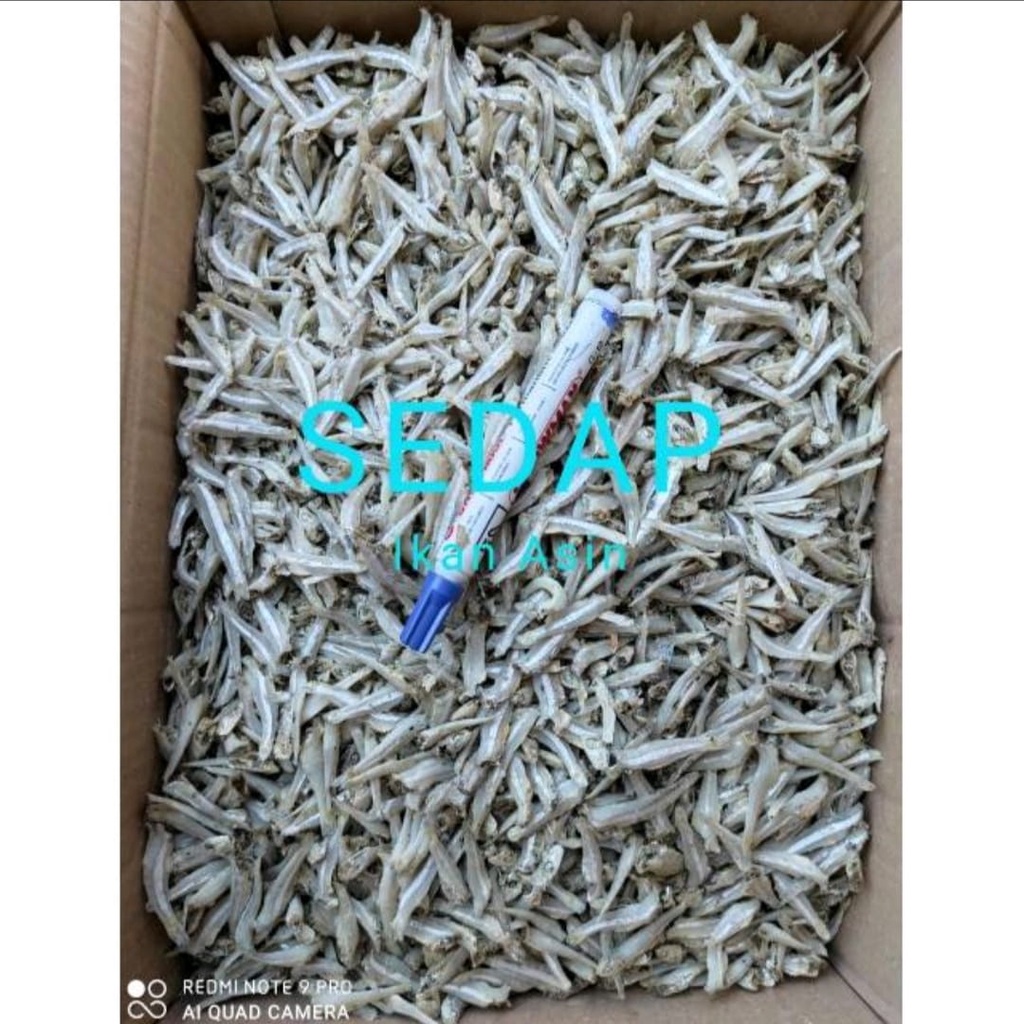 

Teri Jengki Rebus Asin 100GRAM Kering