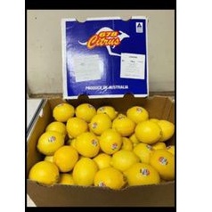 

jeruk lemon import 1kg