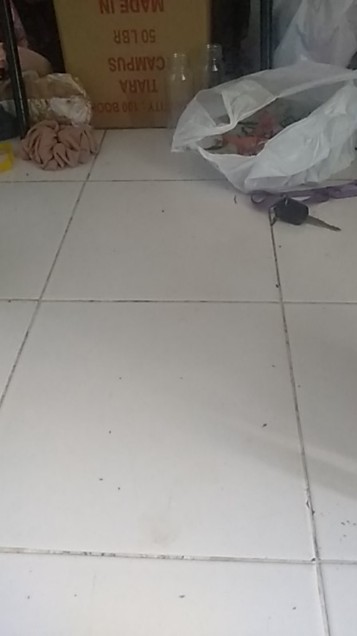 Botol Kale 250 Ml Kopi Susu Juice Jamu