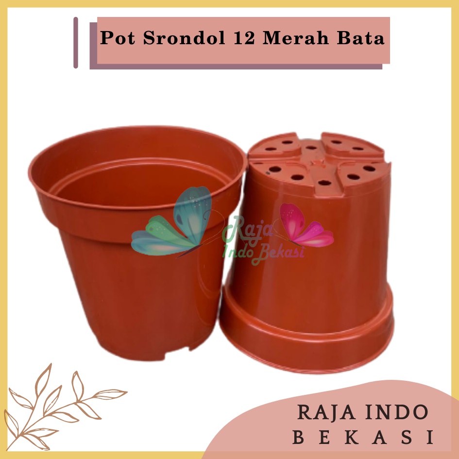 Pot Tinggi Srondol 12 Merah BataTerracota Terracotta Merah Coklat - Pot Tinggi Usa Eiffel Effiel 18 20 25 Lusinan Pot Tinggi Tirus 15 18 20 30 35 40 50 Cm Paket murah isi 1 lusin pot bunga plastik lusinan pot tanaman Pot Bibit Besar Mini Kecil Pot Srondol