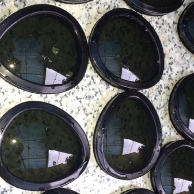 Ready Stock Goggle Lens Replacement Goggle Jacket (not cp company)