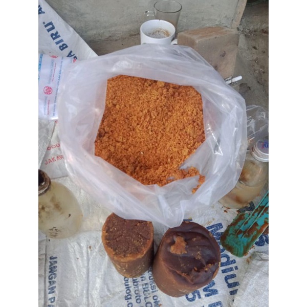 

gula aren semut asli