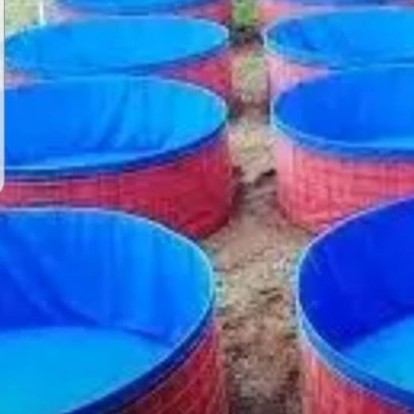 Terpal Kolam Bulat PVC D2 T1 nett PVC Orchid (Terpal saja) / Terpal ikan bulat/ Terpal kolam bulat