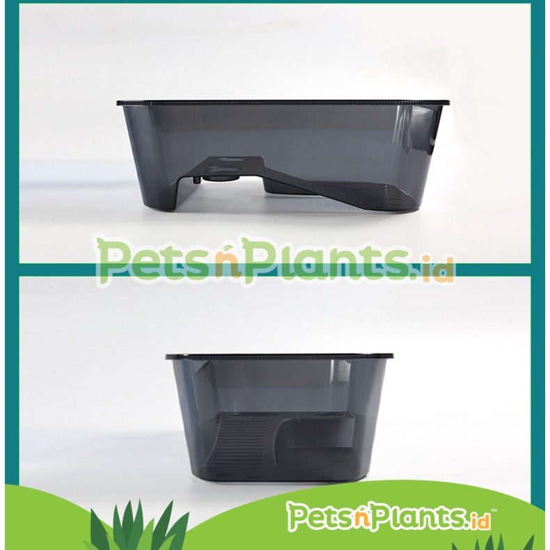 Akuarium Kandang Tempat Kura Kura Air - Turtle Tank Plastik PP Import - (L) = 60 x 36 x 20 cm