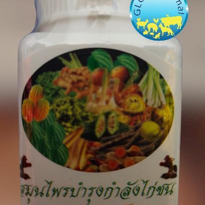 

[[BISA COD]] ISI 50 PIL KAMLANG KERING CHAMP JAMU HERBAL AYAM TARUNG ORIGINAL