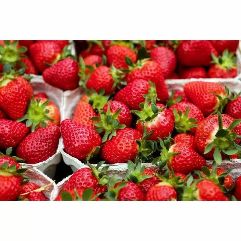 50g Strawberry Bumbu Tabur Strawberry Stroberi 50 g