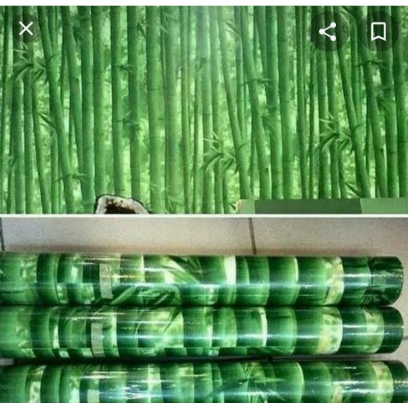 Wallpaper dinding motif bambu warna hijau