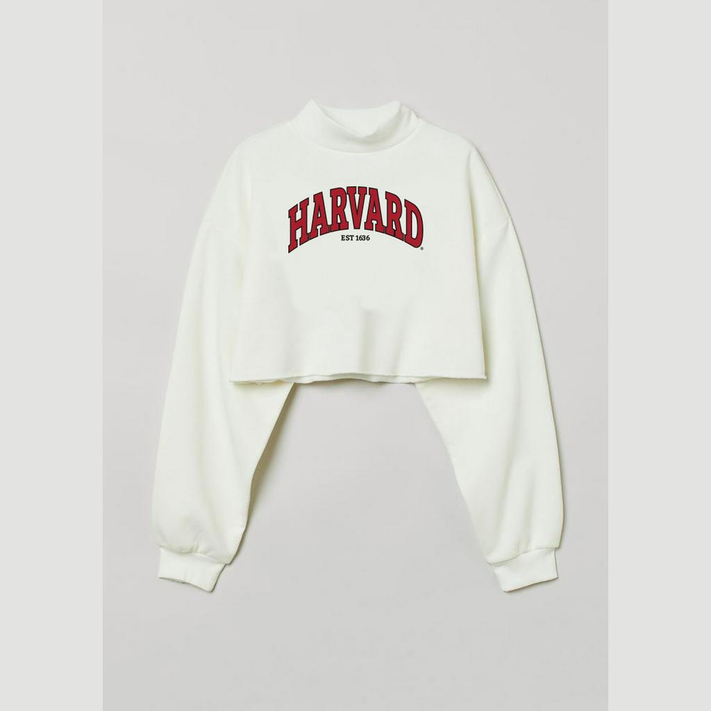 Crop Sweater H&amp;M Harvard Broken White Crewneck Crop Wanita soft cream