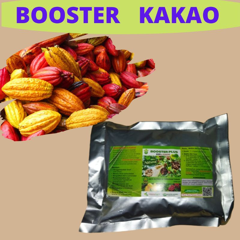 Pupuk Booster Kakao Pelebat Buah Kakao, Pupuk Booster Kakao Untuk Memperbanyak Buah Kakao