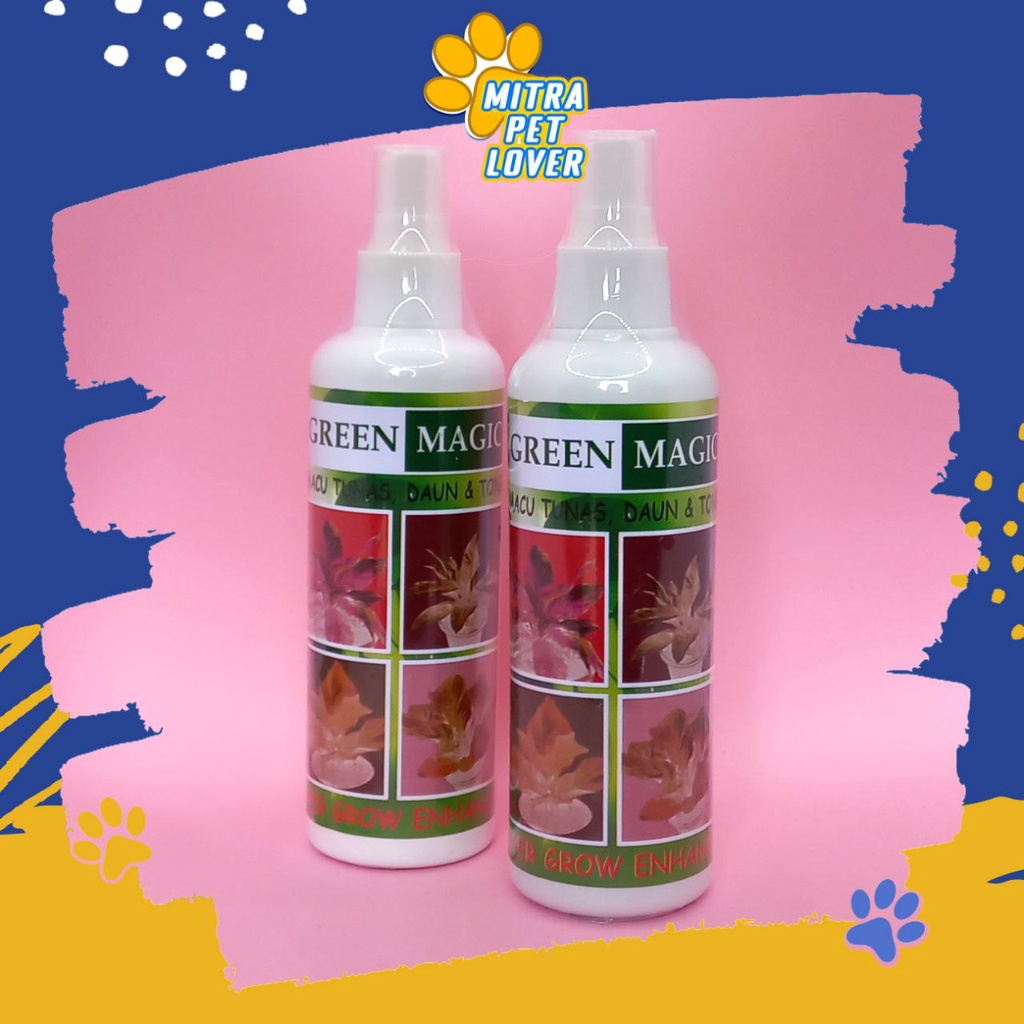 PENUMBUH DAUN &amp; TUNAS TANAMAN - GREEN MAGIC SPRAY 200 ML - PEMACU CEPAT TUMBUH TUMBUHAN HIAS PUPUK AMPUH - MURAH GARANSI KUALITAS ASLI ORIGINAL - PET ANIMAL PLANT LEAVE SUPLEMEN MINERAL &amp; NUTRISI TAMASINDO OBAT KESEHATAN &amp; VITAMIN PELIHARAAN MITRAPETLOVER