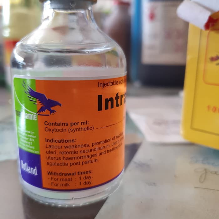 Promo Oxytocin 50 ml intetchemie hormon untuk mempercepat kelahiran Berkualitas