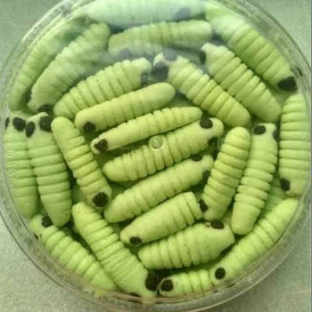 Jual Kue Ulat Sagu Original Susu Kota Cimahi Cley S Cakepops Tokopedia
