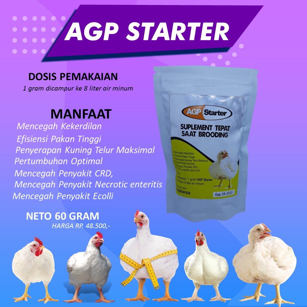 Promo Ultah Agp Starter10 gratis 10