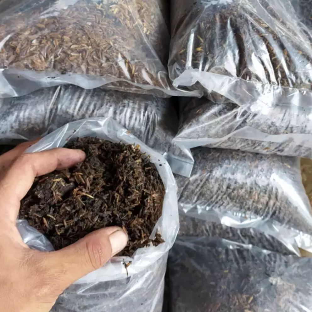 Media Tanaman Hias - Media Tanam Siap Pakai - Media Tanam Ketek an