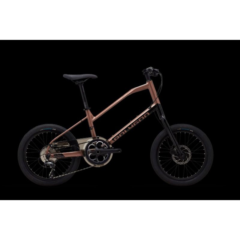 sepeda Polygon zeta 2 mini velo
