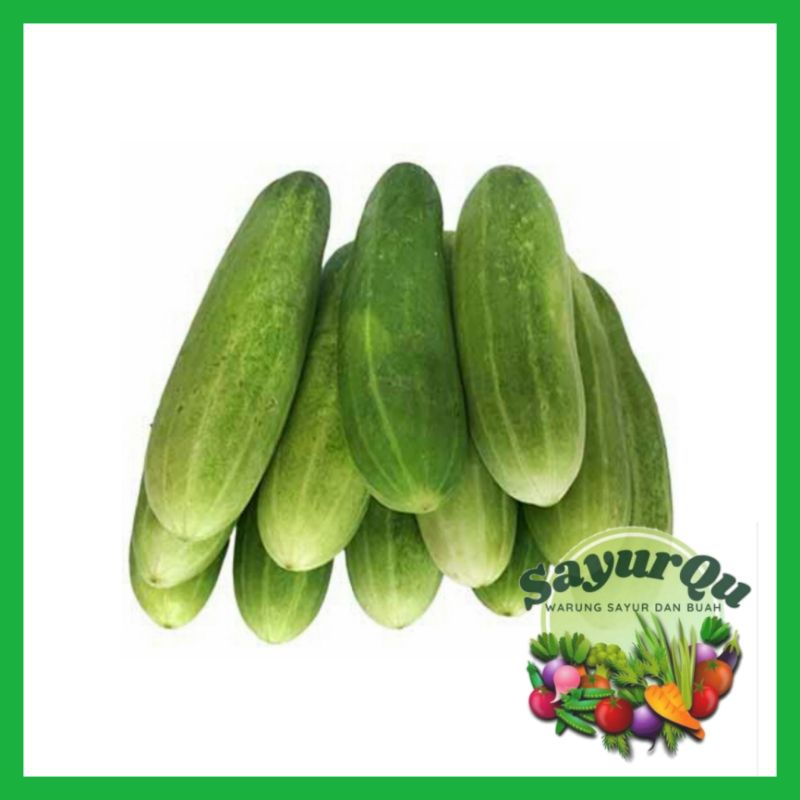 

Timun Lokal Fresh 500 gram - Sayur Segar Bekasi